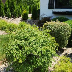 CasaLux Outdoor Solutions