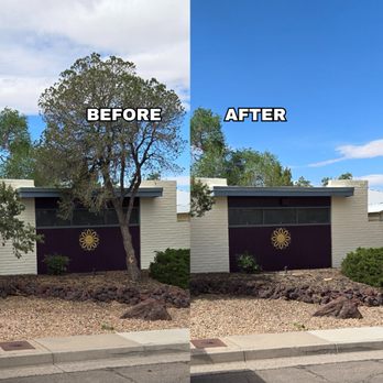 Maven Tree Services - Tree Services Near Me