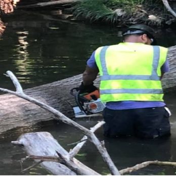 Timberland Tree Service - Tree Services Near Me - Broadview Heights, Ohio Timberland Tree Service - Tree Services Near Me - Broadview Heights, Ohio