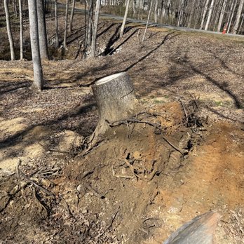 Foothills Land Solutions - Tree Services Near Me - Shelby, North Carolina
