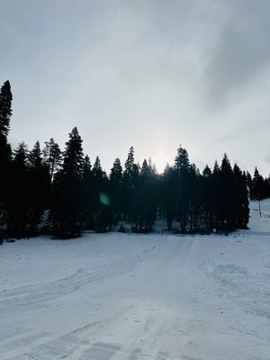 Granlibakken Tahoe by null