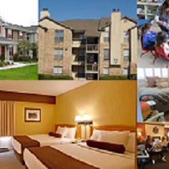 Florida Bed Bug Pros - Homes, apartments, condos or hotels. Bed Bugs do not discriminate. - Pest Control Near Me Florida Bed Bug Pros - Homes, apartments, condos or hotels. Bed Bugs do not discriminate. - Pest Control Near Me