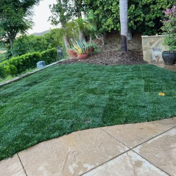 Green Rootz - This is a couple weeks after we installed the gopher protection and new sod really nice results - Landscaping Near Me