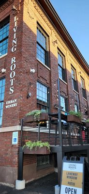 Living Roots Rochester by null