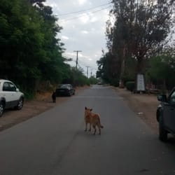 Comunidad Ecológica - Un lugar tranquilo