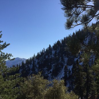 Mount Baden-Powell Trail - Hiking Near Me