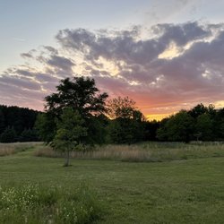 Three Star Vineyard