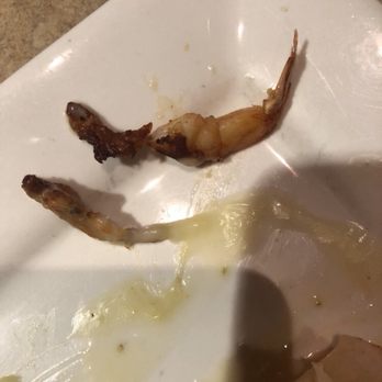 Cinco Mexican Grill - Mexican Near Me - Bluffton, South Carolina Cinco Mexican Grill - Mexican Near Me - Bluffton, South Carolina