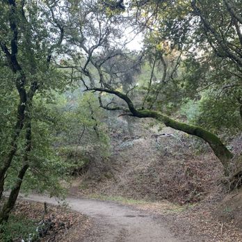 Las Trampas Regional Wilderness - Wide and well paved roads - Parks Near Me - San Ramon, California Las Trampas Regional Wilderness - Wide and well paved roads - Parks Near Me - San Ramon, California
