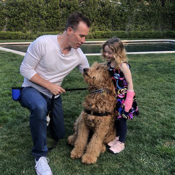 SoCal K9 Consulting - Pet Training Near Me SoCal K9 Consulting - Pet Training Near Me