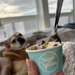 Chocolate chip Chocolate chip