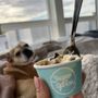 Photo of Sugar + Spoon
