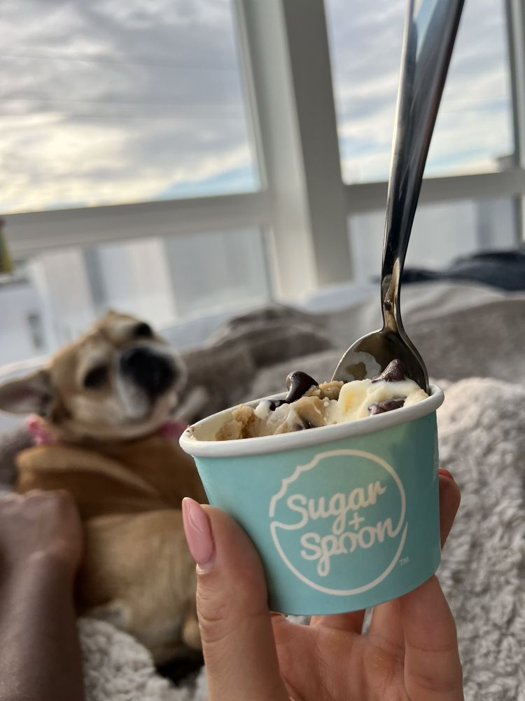 SUGAR + SPOON - Updated August 2026 - 227 Photos & 219 Reviews ...