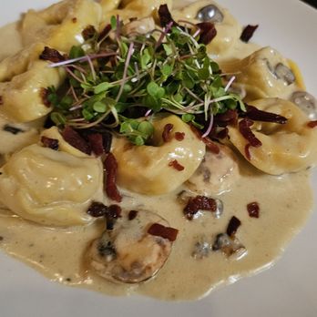 Nonna - Tortellini Funghi - Pizza Near Me - San Diego, California Nonna - Tortellini Funghi - Pizza Near Me - San Diego, California