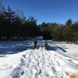 Bangor City Forest