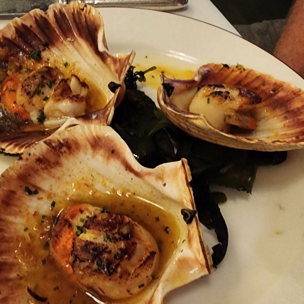 J Sheekey - Scallops - Seafood Near Me - London, XGL J Sheekey - Scallops - Seafood Near Me - London, XGL