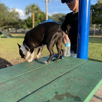 Lilac Dog Park - Pup just jumped right on there haha. - Dog Parks Near Me - Palm Beach Gardens, Florida Lilac Dog Park - Pup just jumped right on there haha. - Dog Parks Near Me - Palm Beach Gardens, Florida