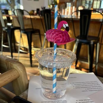 Honey Road - Water cup for 2 year old - Middle Eastern Near Me - Burlington, Vermont Honey Road - Water cup for 2 year old - Middle Eastern Near Me - Burlington, Vermont