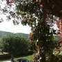 Photo of Rheinecker Hof