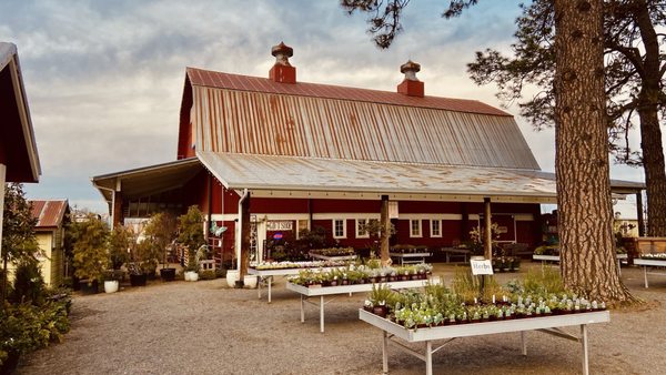 Blooming Junction Garden Center and Farm Market by null