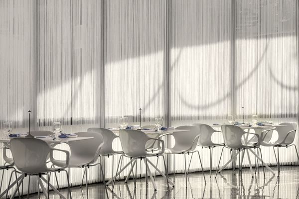 MF Lobster & Ceviche by null