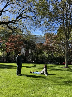 Brown University by null