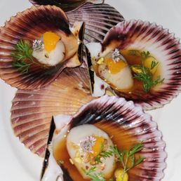 Scallops