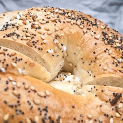 Bethpage Bagels - Everything Bagel w/ Cream Cheese.