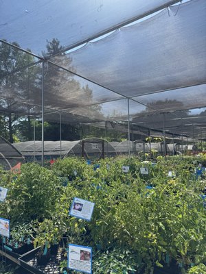 Morningsun Herb Farm by null