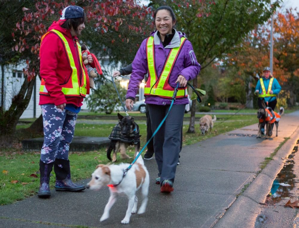 PAW STREET MARKET Updated August 2024 20 Photos 10122259 48
