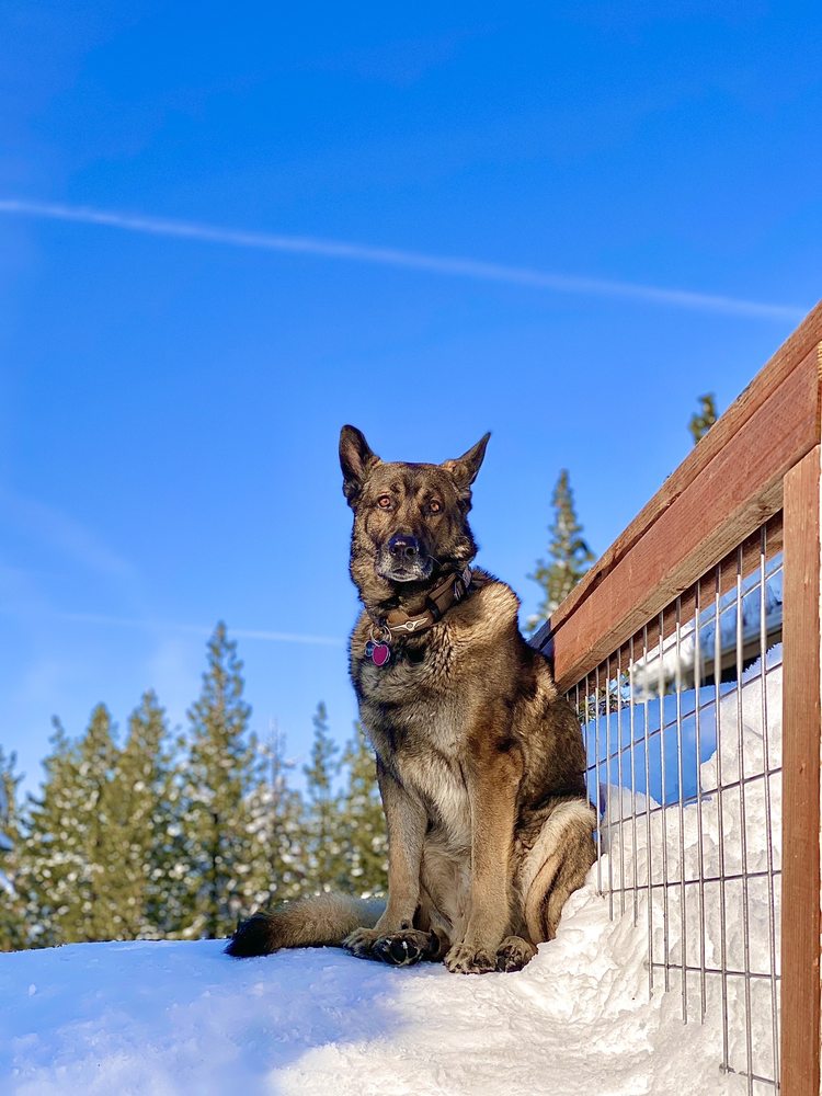 HANSEN’S SNOW TUBE & SAUCER HILL Updated October 2024 91 Photos