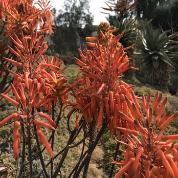 UCR Botanic Gardens - Botanical Gardens Near Me - Riverside, California
