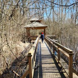 Connecticut Audubon Birdcraft Museum
