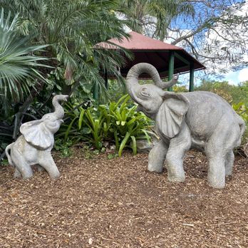Zoo Miami - Zoos Near Me - Miami, Florida
