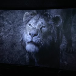 Cinemark Perkins Rowe and XD - Lion King