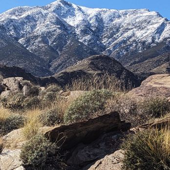 Indian Canyons - Murray Trail - Parks Near Me - Palm Springs, California