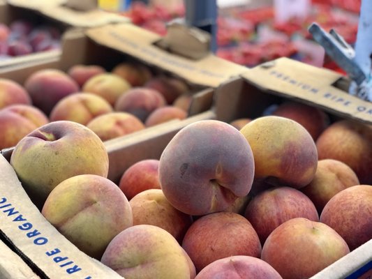Montclair Village Farmers' Market by null