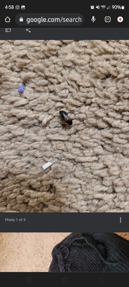 North Pointe Apartments - property management company in Anchorage, AK