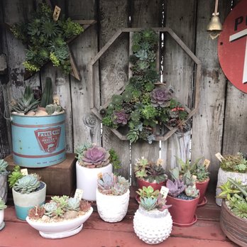 Potted - Home Decor Near Me - Los Angeles, California