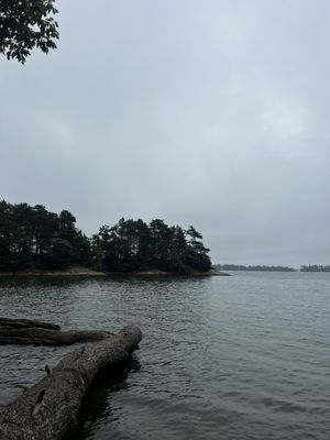 Wolfe's Neck Woods State Park by null