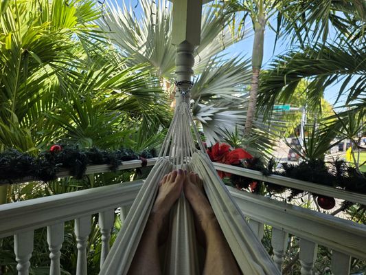 The Mermaid & The Alligator by null