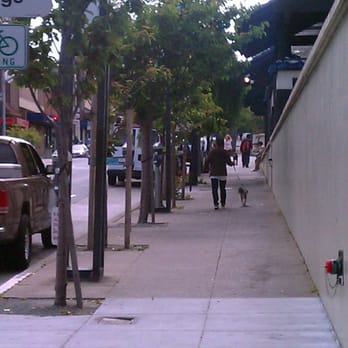 Kanrin Maru 150th Anniversary Trees - Local Flavor Near Me - San Francisco, California