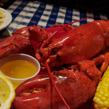 Summer Shack - Boston - Steamed lobater - Seafood Near Me - Boston, Massachusetts Summer Shack - Boston - Steamed lobater - Seafood Near Me - Boston, Massachusetts