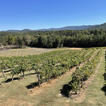Ott Vineyards And Winery - Wine Tasting Room Near Me - Ellijay, Georgia Ott Vineyards And Winery - Wine Tasting Room Near Me - Ellijay, Georgia