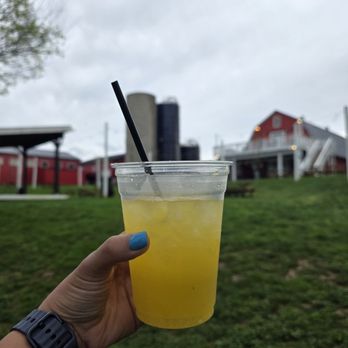 Flying Ace Farm - Breweries Near Me - Lovettsville, Virginia