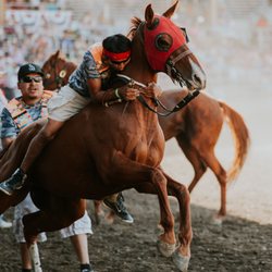 Pendleton Round-Up