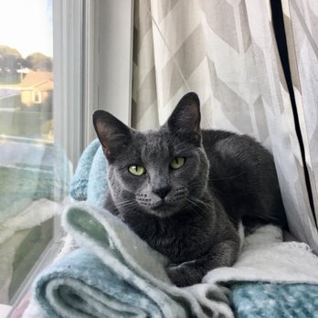 humane society near ne