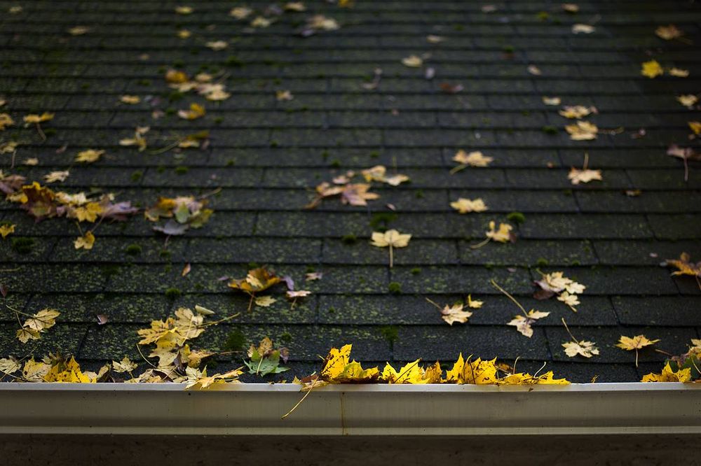 Slide of Anderson Restoration