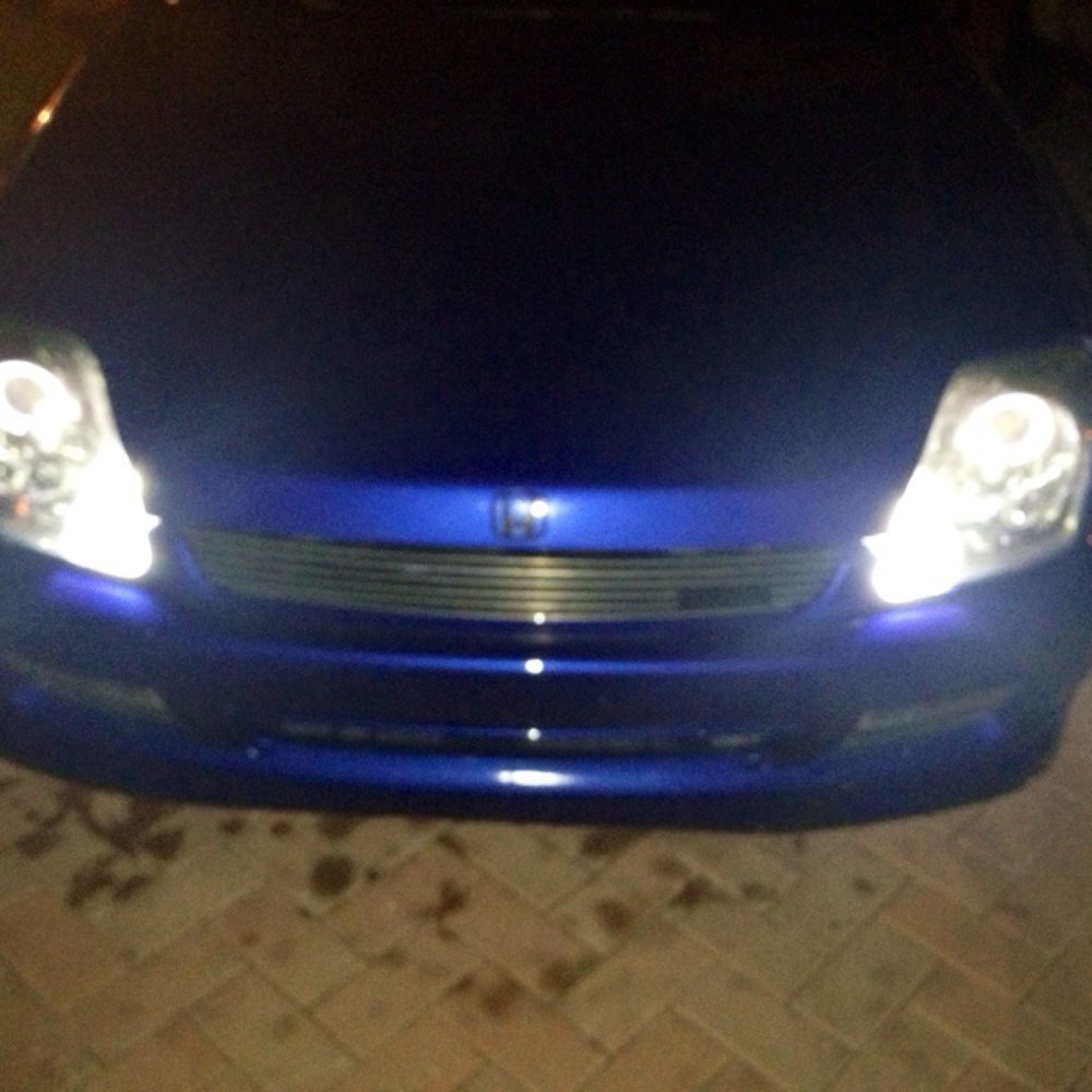 All Import Tech - My baby Lude... - Auto Repair Near Me - Miami, Florida