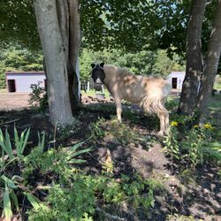 RiverView Farm